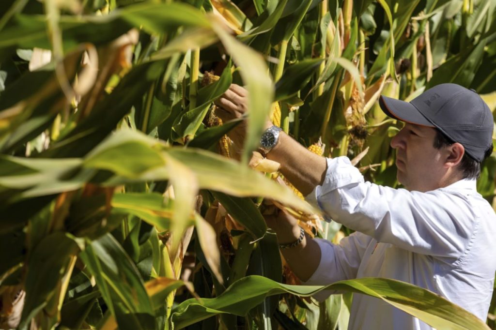 AGROCOLUN 80 | COMERCIAL | Fertilización Inteligente en Maíz