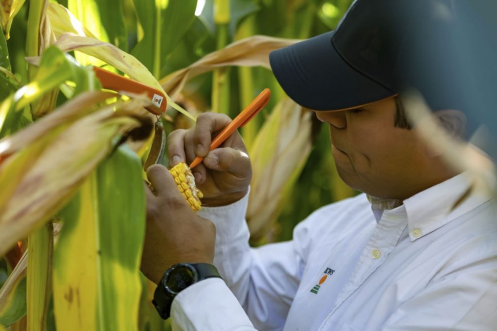 AGROCOLUN 80 | COMERCIAL | Fertilización Inteligente en Maíz