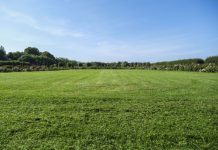 Qué Estás Entregando Realmente a tus Animales: Caracterización de las Praderas del Sur de Chile AGROCOLUN 80 | LABORATORIO | Caracterización de las Praderas del Sur de Chile