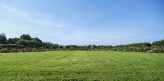 AGROCOLUN 80 | LABORATORIO | Caracterización de las Praderas del Sur de Chile