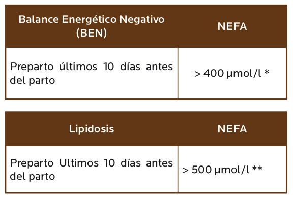 AGROCOLUN 80 | NUTRICIÓN | Perfiles Metabolicos