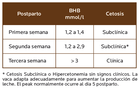 AGROCOLUN 80 | NUTRICIÓN | Perfiles Metabolicos