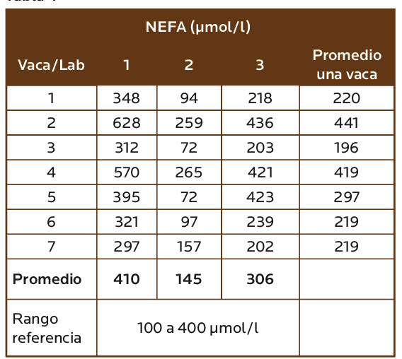 AGROCOLUN 80 | NUTRICIÓN | Perfiles Metabolicos