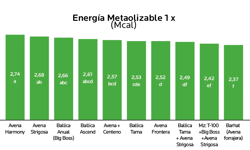 AGROCOLUN Edición 81 | Alternativas Forrajeras para Siembra Intermaíces | AGROCOLUN Edición 81 AGROCOLUN Edición 81 | Alternativas Forrajeras para Siembra Intermaíces | AGROCOLUN Edición 81