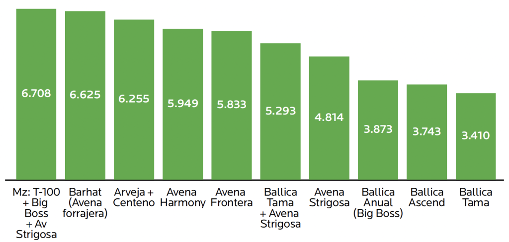 AGROCOLUN Edición 81 | Alternativas Forrajeras para Siembra Intermaíces | AGROCOLUN Edición 81 AGROCOLUN Edición 81 | Alternativas Forrajeras para Siembra Intermaíces | AGROCOLUN Edición 81
