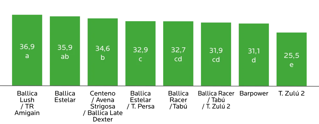 AGROCOLUN Edición 81 | Verdeos de Invierno | AGROCOLUN Edición 81 AGROCOLUN Edición 81 | Verdeos de Invierno | AGROCOLUN Edición 81