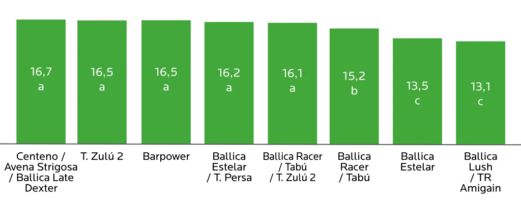 AGROCOLUN Edición 81 | Verdeos de Invierno | AGROCOLUN Edición 81 AGROCOLUN Edición 81 | Verdeos de Invierno | AGROCOLUN Edición 81