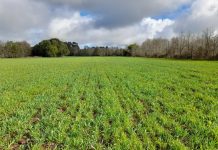 Siembra y Regeneración de Praderas en Otoño