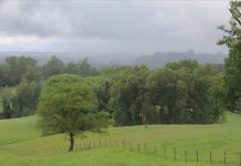 Desafíos Actuales y el Papel de las Estaciones Metereológicas Modernas