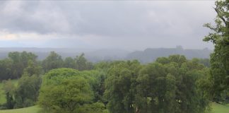 AGROCOLUN | Revista Agrocolun | Contenidos | Colun