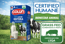 Competir con Ventaja: La Estrategia de Colun