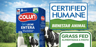 Competir con Ventaja: La Estrategia de Colun AGROCOLUN | Revista AGROCOLUN | COLUN