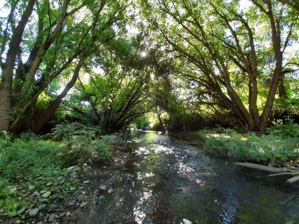 AGROCOLUN Edición 81 | Huellas Ambientales [Parte 2] Un Rastro que hay que Reconocer y Medir: Huella de Carbono | AGROCOLUN Edición 81