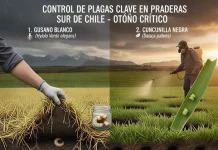Control de Plagas en Praderas Asegurando la Productividad para la Primavera