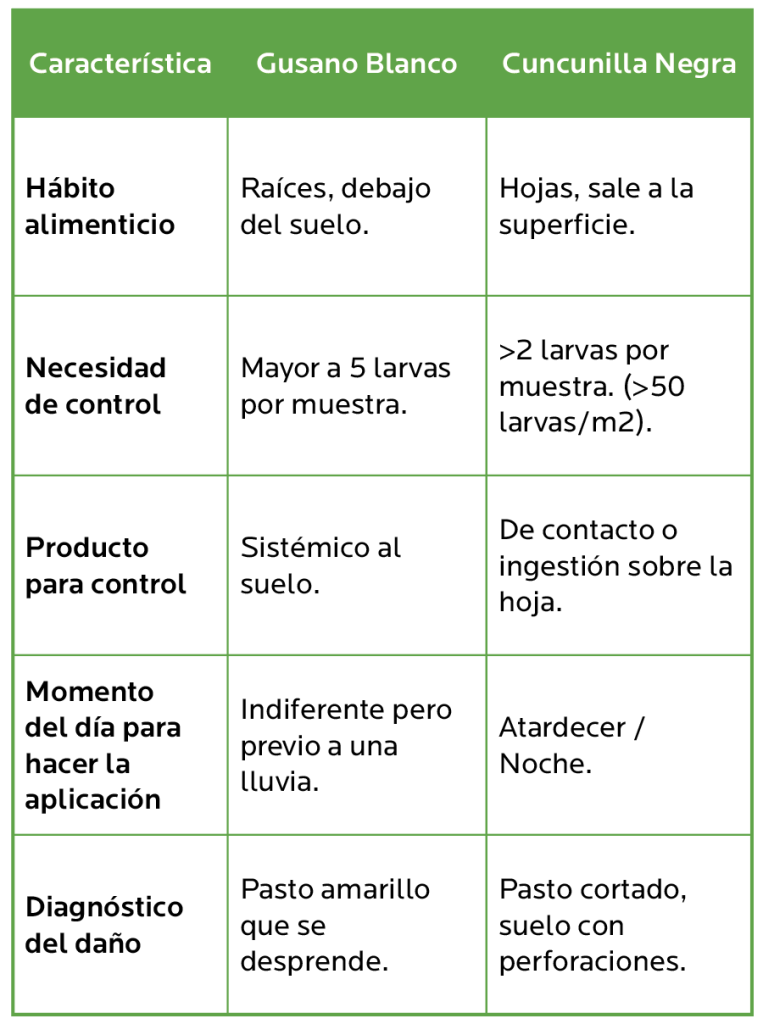 AGROCOLUN Edición 82 | Control de Plagas en Praderas Asegurando la Productividad para la Primavera | AGROCOLUN Edición 82