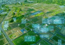 Más que Nutrientes Una Mirada Estratégica a los Guanos Estabilizados en Suelos Volcánicos del Sur