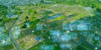 Más que Nutrientes Una Mirada Estratégica a los Guanos Estabilizados en Suelos Volcánicos del Sur AGROCOLUN | Revista AGROCOLUN | COLUN