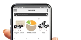 App-licándonos con los Registros Ganaderos AGROCOLUN | Revista AGROCOLUN | COLUN