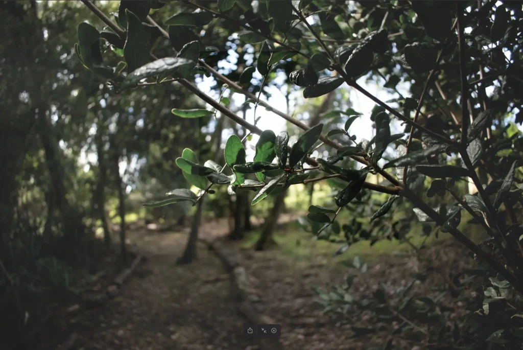 AGROCOLUN Edición 82 | Huellas Ambientales El valor de Convivir en Armonía con el Bosque Nativo y los Ecosistemas: Hacia una Huella Positiva [Parte 3] | AGROCOLUN Edición 82