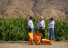 Del Campo a la Bolsa, un Estándar que la Competencia No Iguala AGROCOLUN 84 | COMERCIAL | Del campo a la bolsa